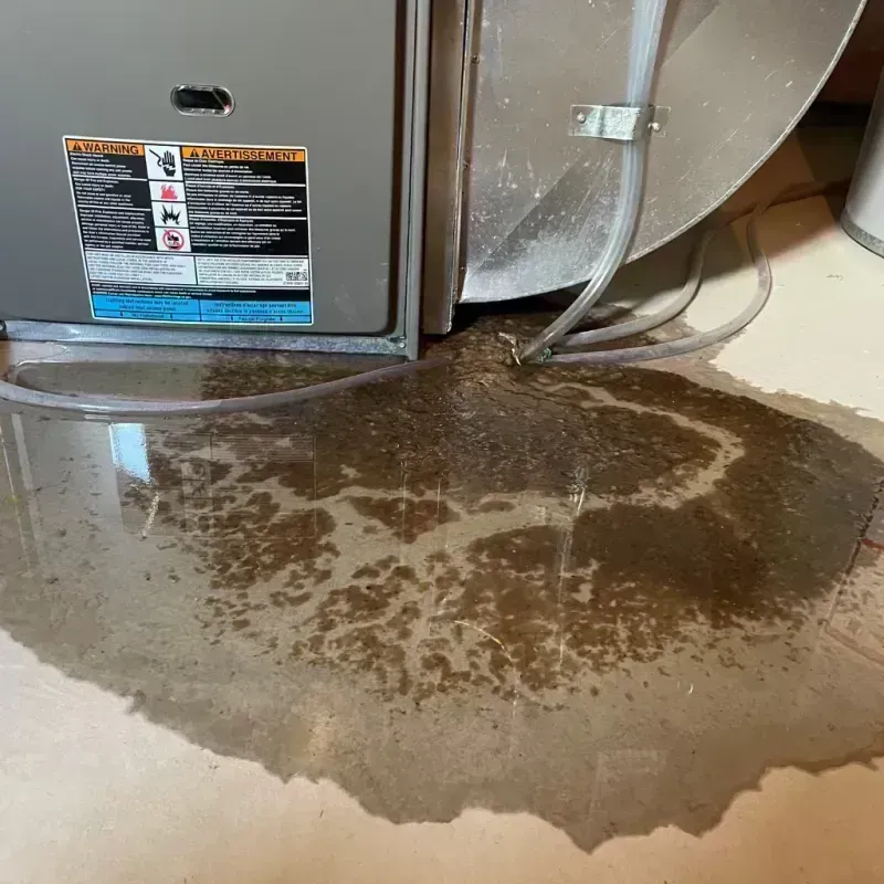 Appliance Leak Cleanup in Plymouth, IN